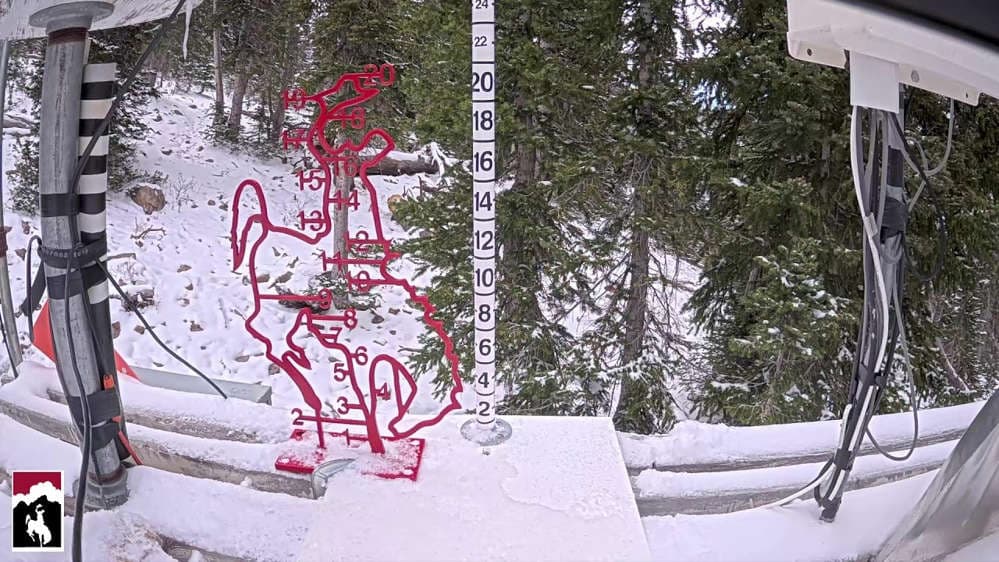 Raymer Snow Stake 