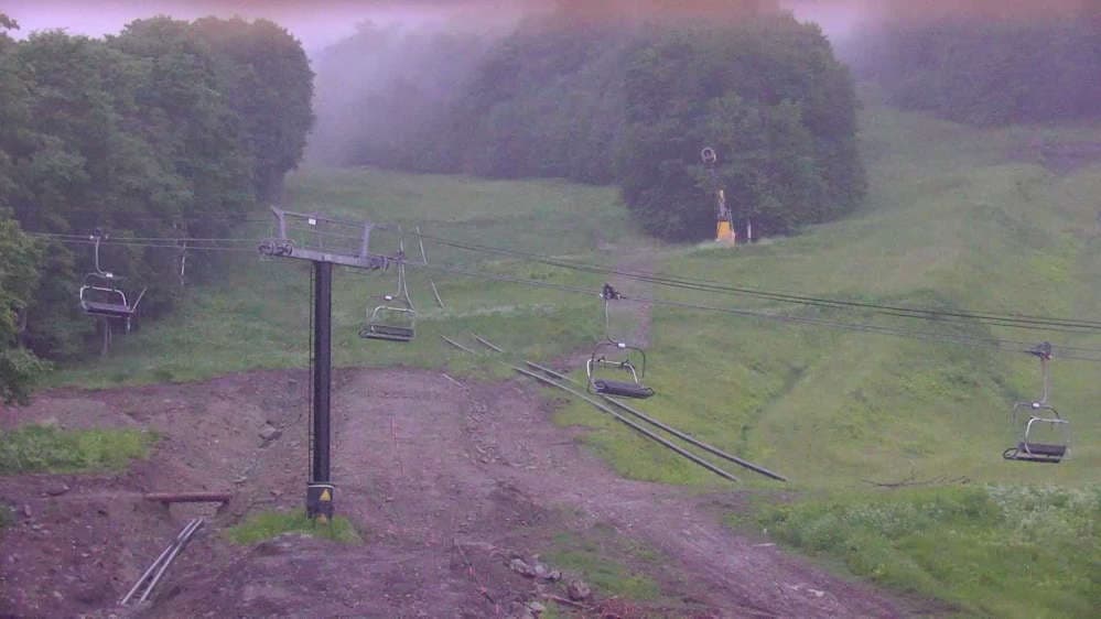 Bear Cam