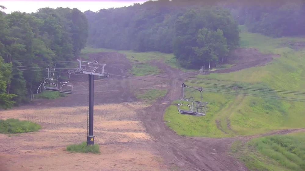 Bear Cam