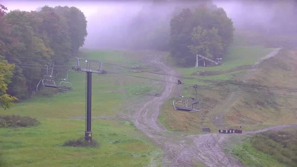 Bear Cam