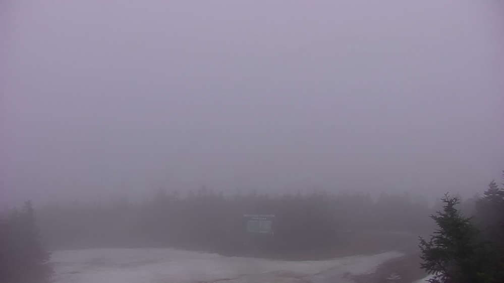 Horizon Cam