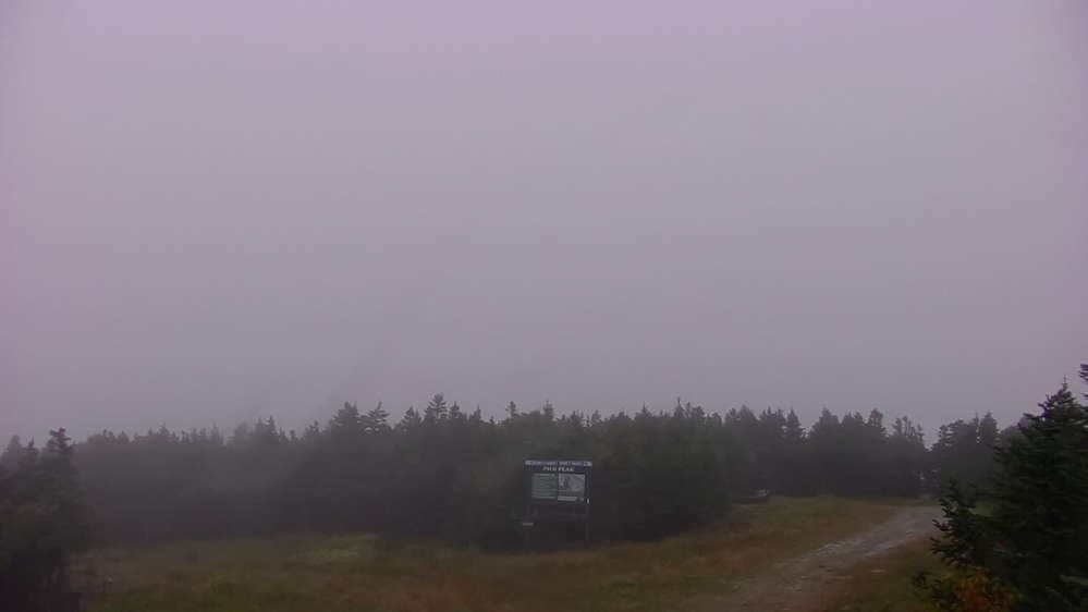 Horizon Cam