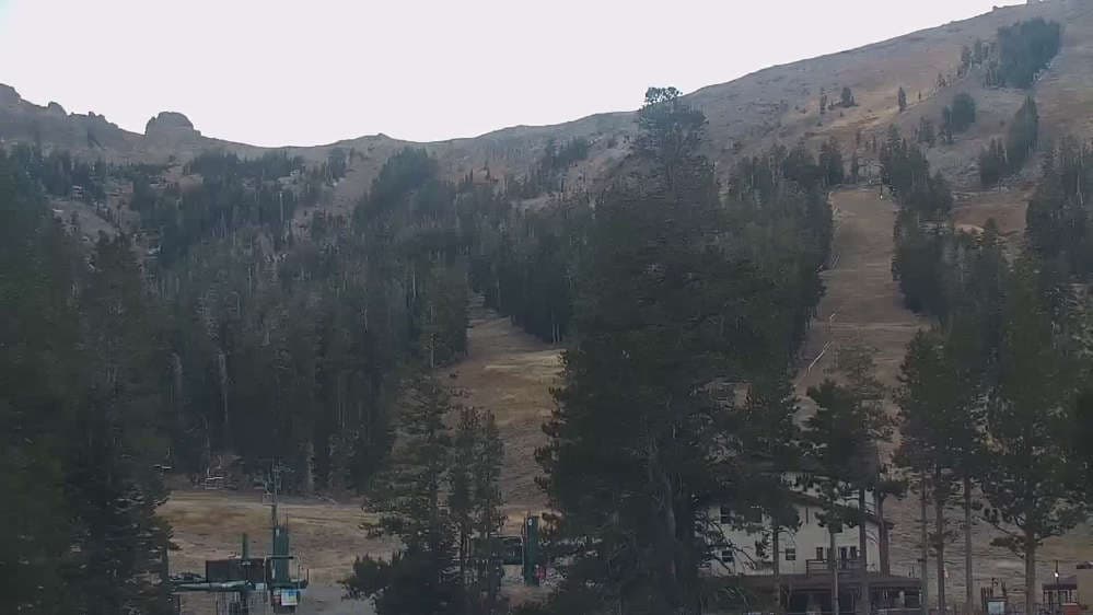 Red Cliffs Cam