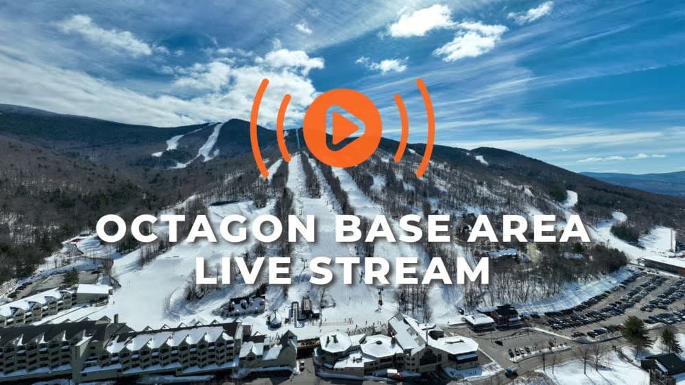 Octagon Base Area | Live at Loon