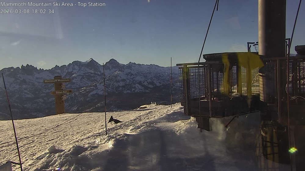 Mammoth Mountain - Top of Sierra Webcam