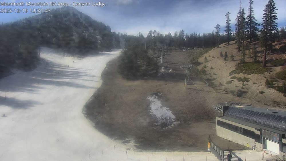 Mammoth Mountain - Canyon Lodge Lincoln Mountain Webcam