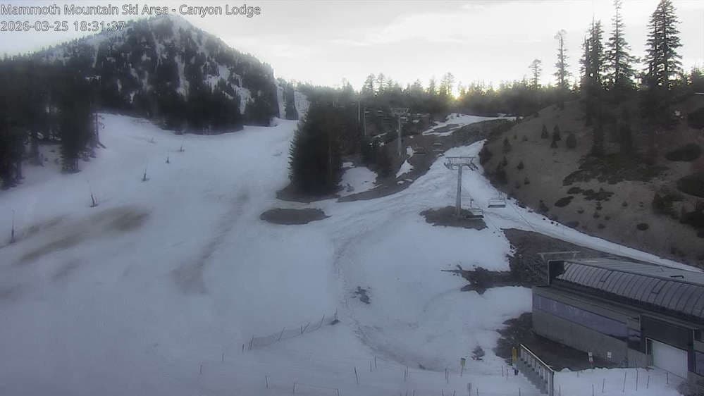 Mammoth Mountain - Canyon Lodge Lincoln Mountain Webcam
