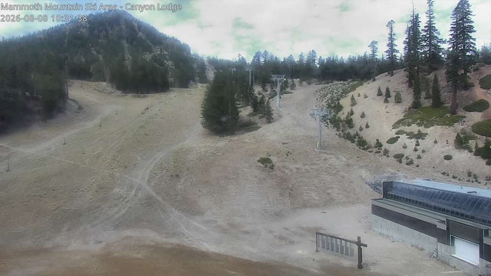 Mammoth Mountain - Canyon Lodge Lincoln Mountain Webcam