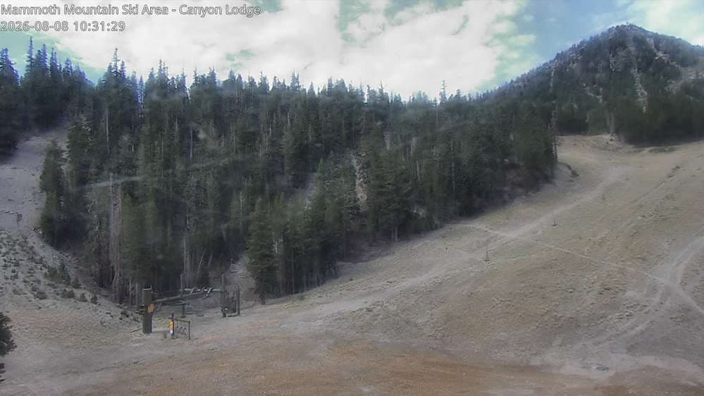 Chair 8 Bottom