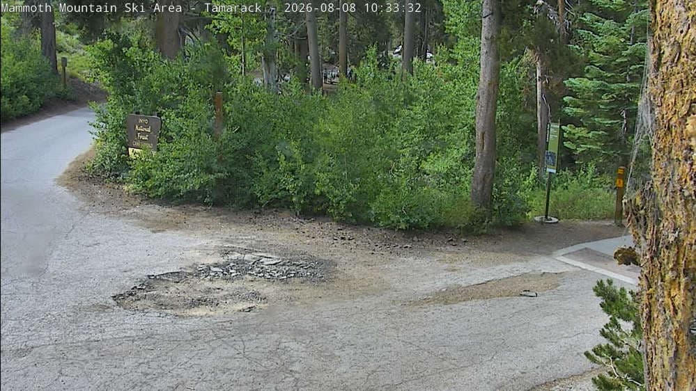 Mammoth - Tamarack