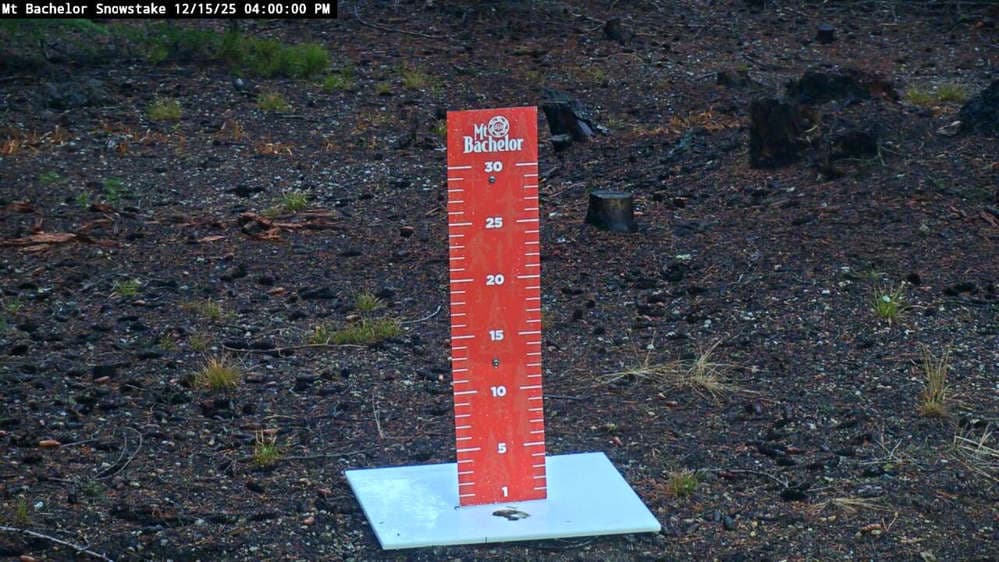 West Village Snow Stake