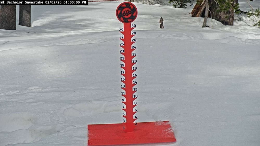 West Village Snow Stake