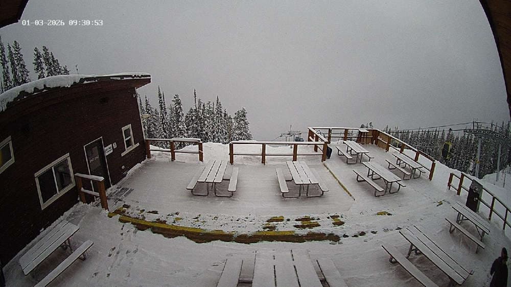 Revelstoke: Top of Upper Gondola Cam