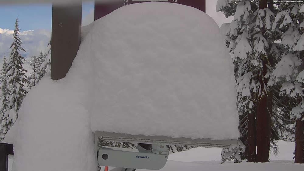 Northstar Snow Stake