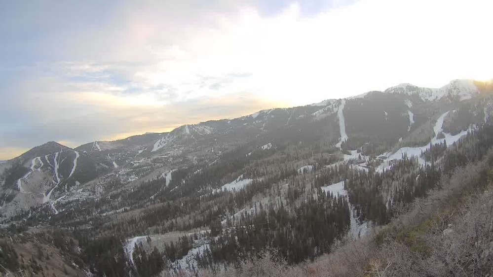 Lookout Cabin Camera