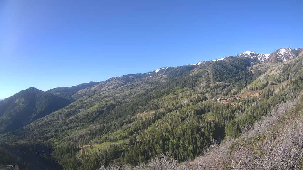 Lookout Cabin Camera