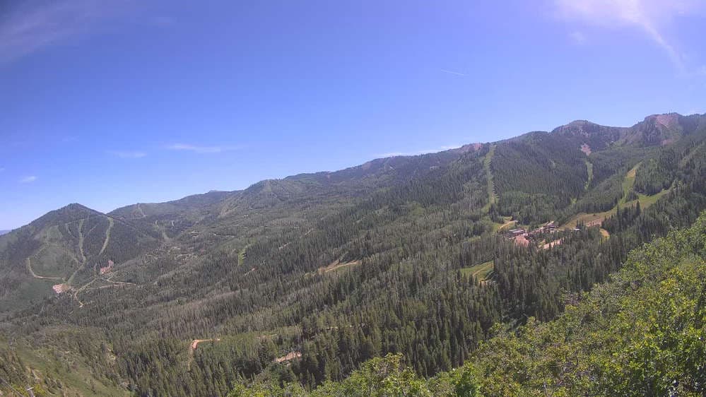 Lookout Cabin Camera