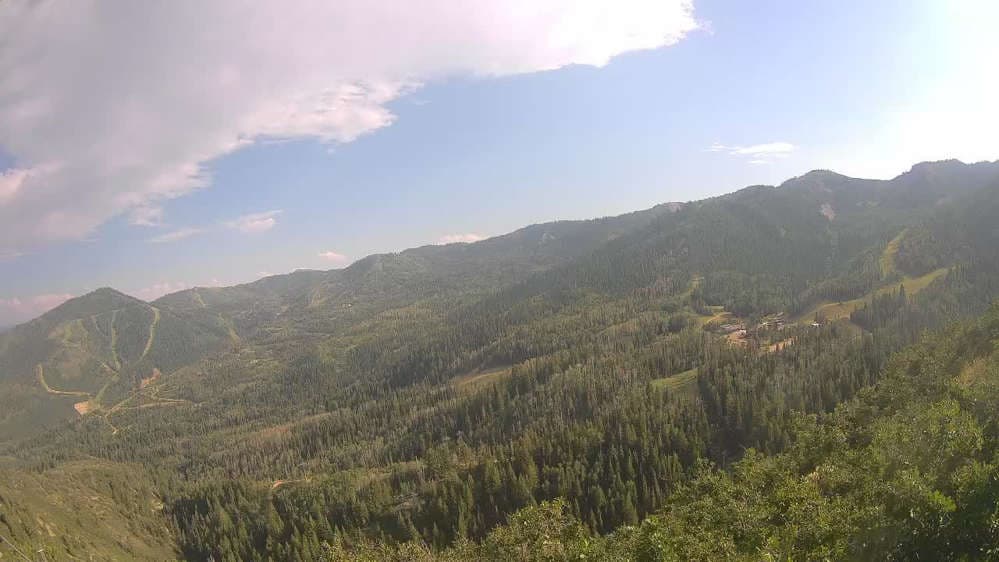 Lookout Cabin Camera