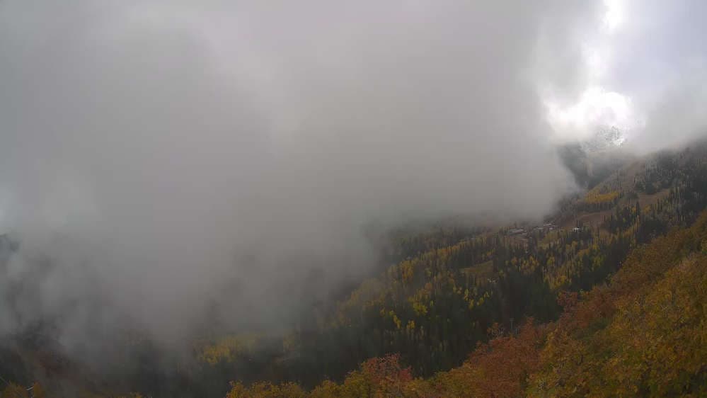 Lookout Cabin Camera