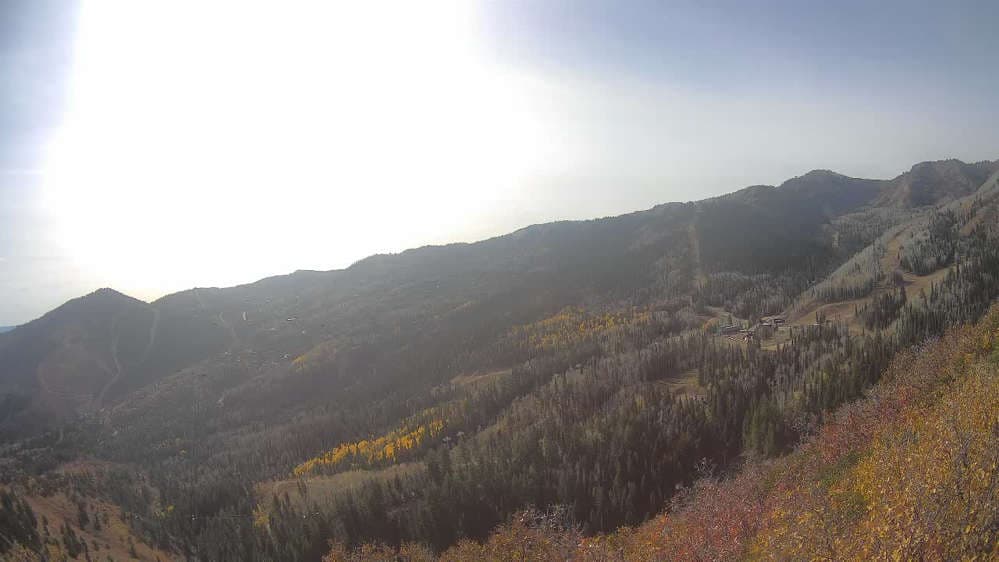 Lookout Cabin Camera