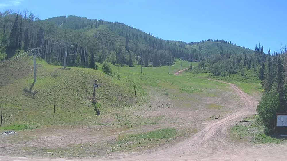 High Meadow