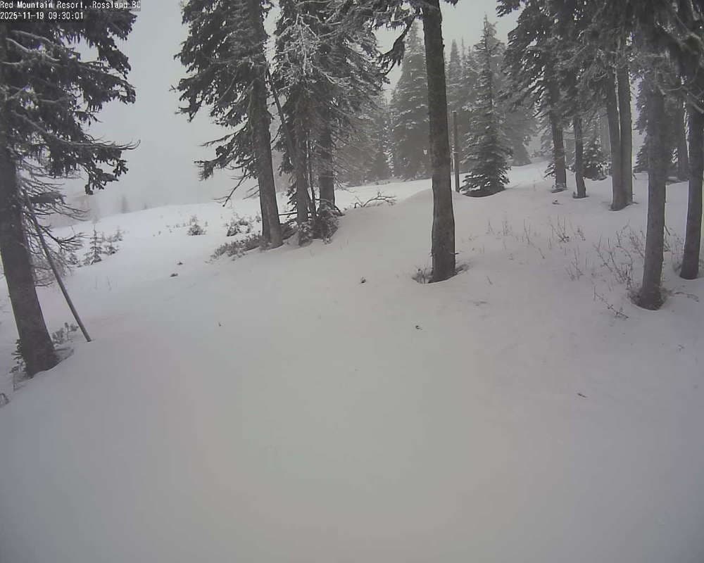 Red Resort - Rosario Snow Cam