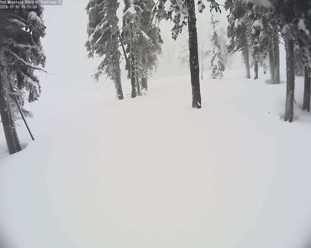 Red Resort - Rosario Snow Cam