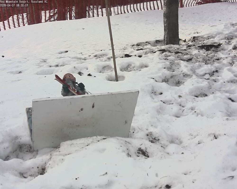 Red Resort - Rosario Snow Cam