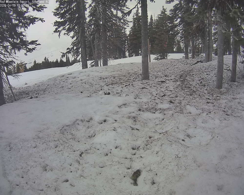 Red Resort - Rosario Snow Cam