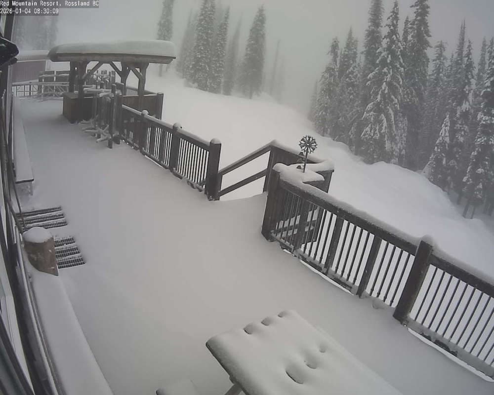 Red Resort - Paradise Lodge Deck Cam