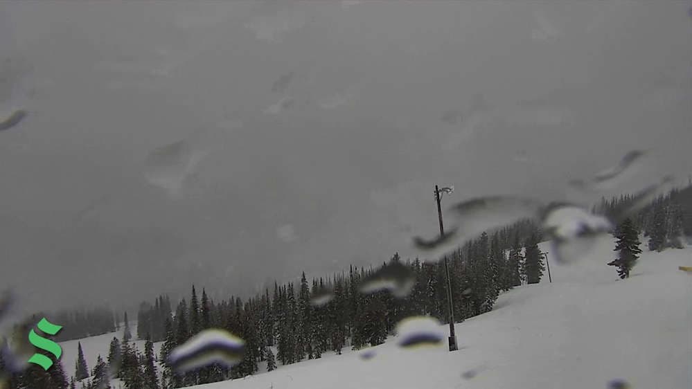 View from the top of the Basin Express Quad
