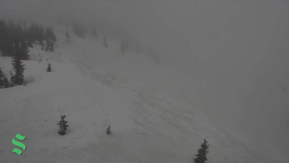 View from the summit of the Lakeview Triple