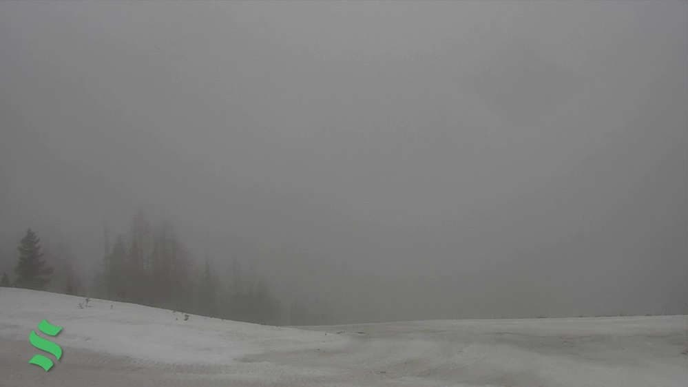 View looking north from the Rowdy Grouse