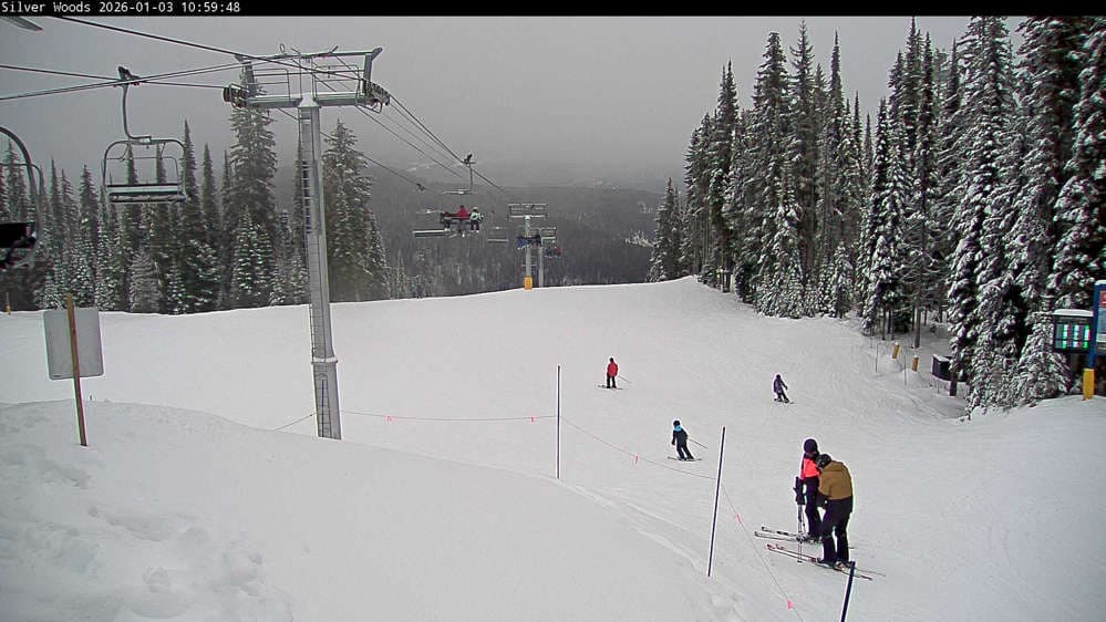 Silver Star Top of Silver Woods Webcam