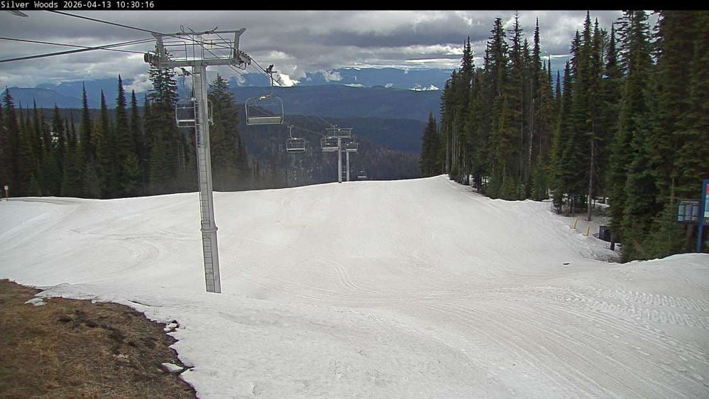 Silver Star Top of Silver Woods Webcam