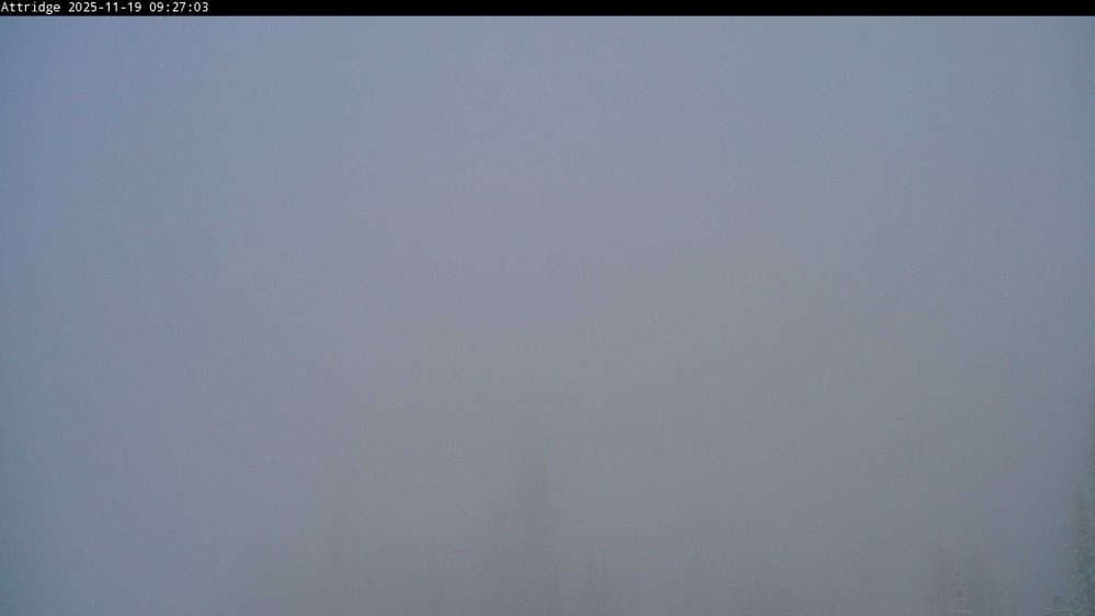 Silver Star Alpine Meadows Webcam