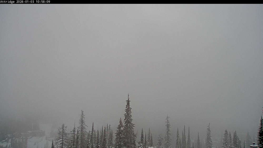 Silver Star Alpine Meadows Webcam