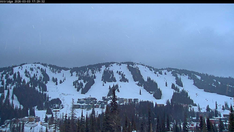 Silver Star Alpine Meadows Webcam