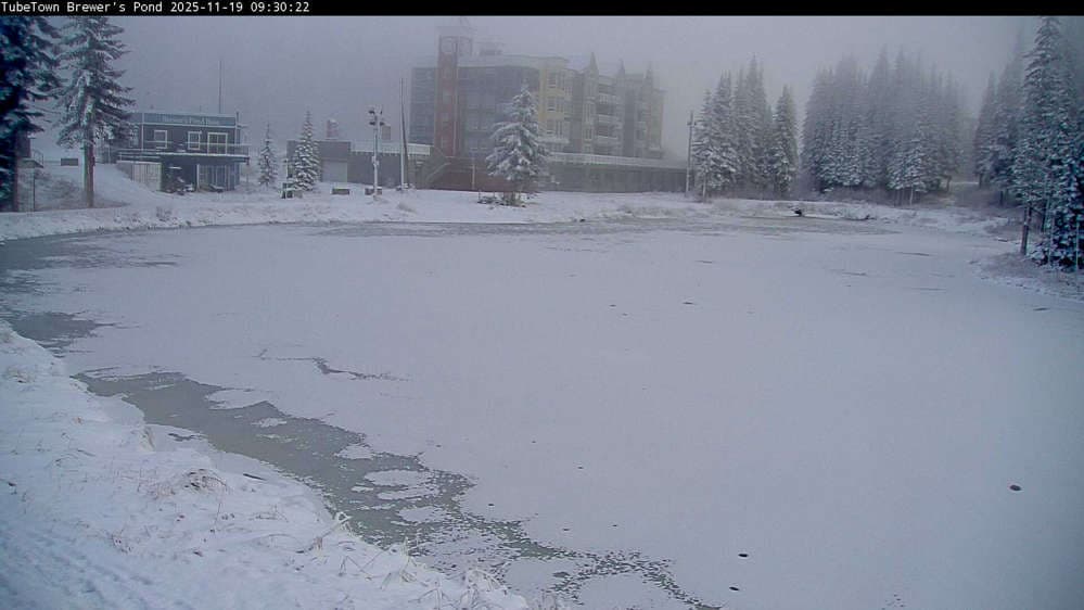 Silver Star Brewer's Pond Webcam