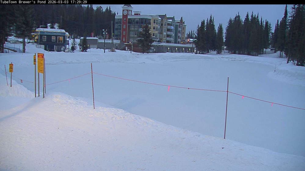 Silver Star Brewer's Pond Webcam
