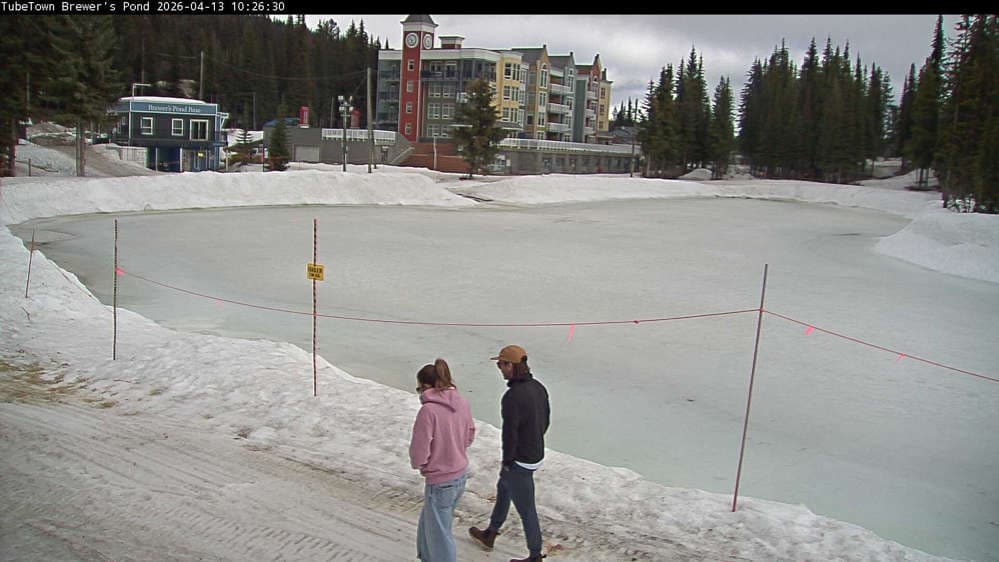 Silver Star Brewer's Pond Webcam