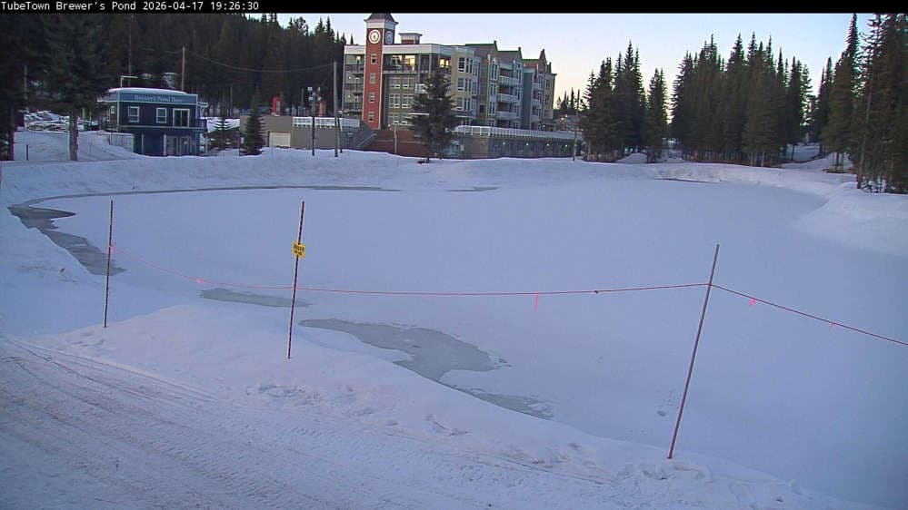 Silver Star Brewer's Pond Webcam