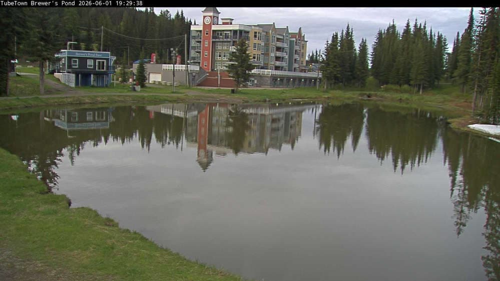 Silver Star Brewer's Pond Webcam