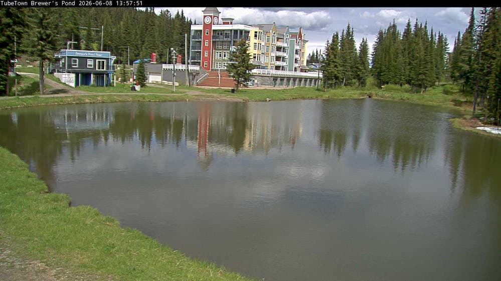 Silver Star Brewer's Pond Webcam