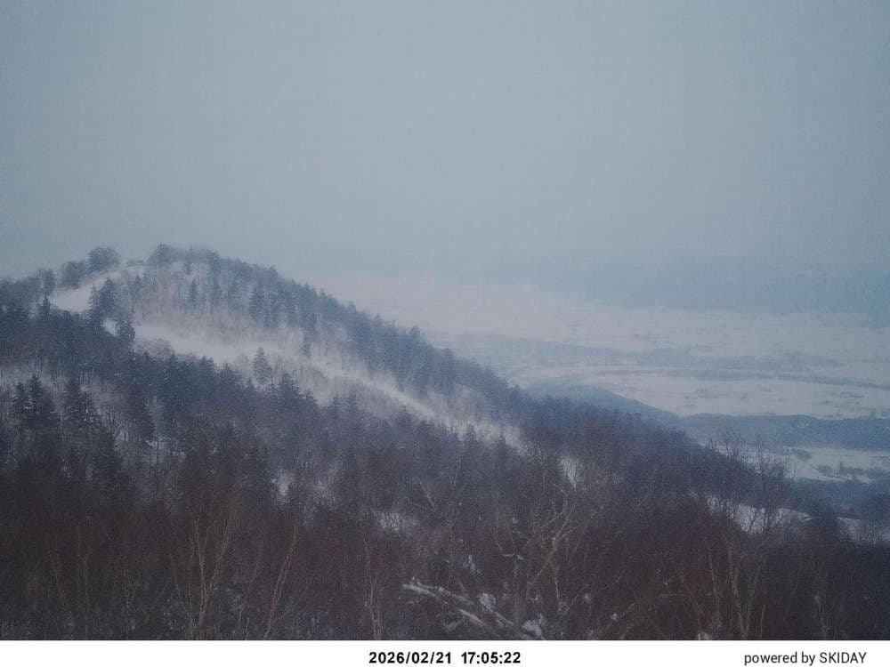Furano Ropeway summit 