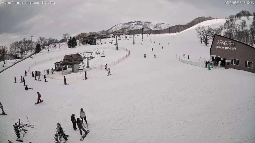 Niseko Annupuri Webcam