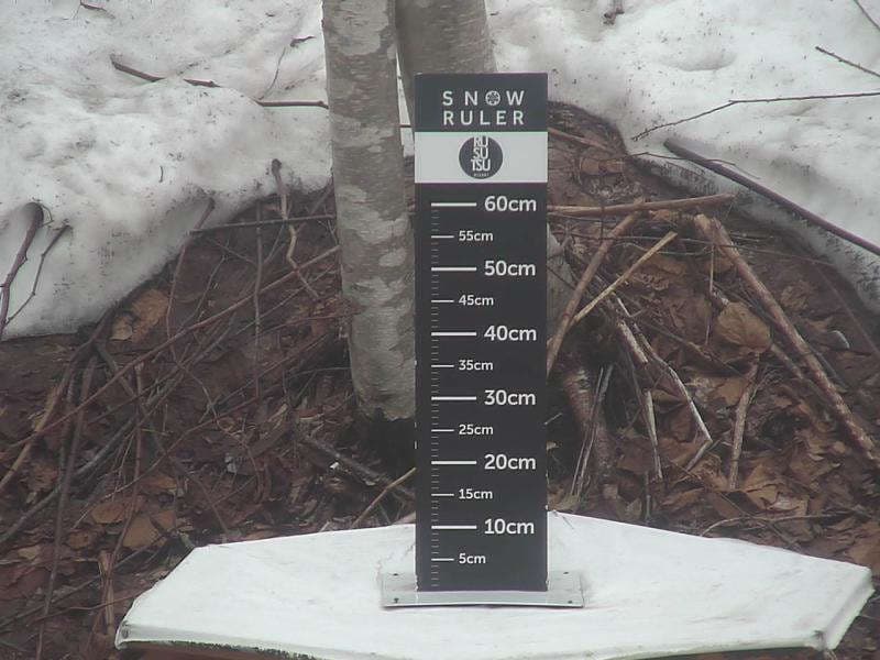Rusutsu Snow Stake Cam