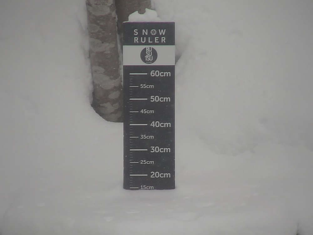 Rusutsu Snow Stake Cam