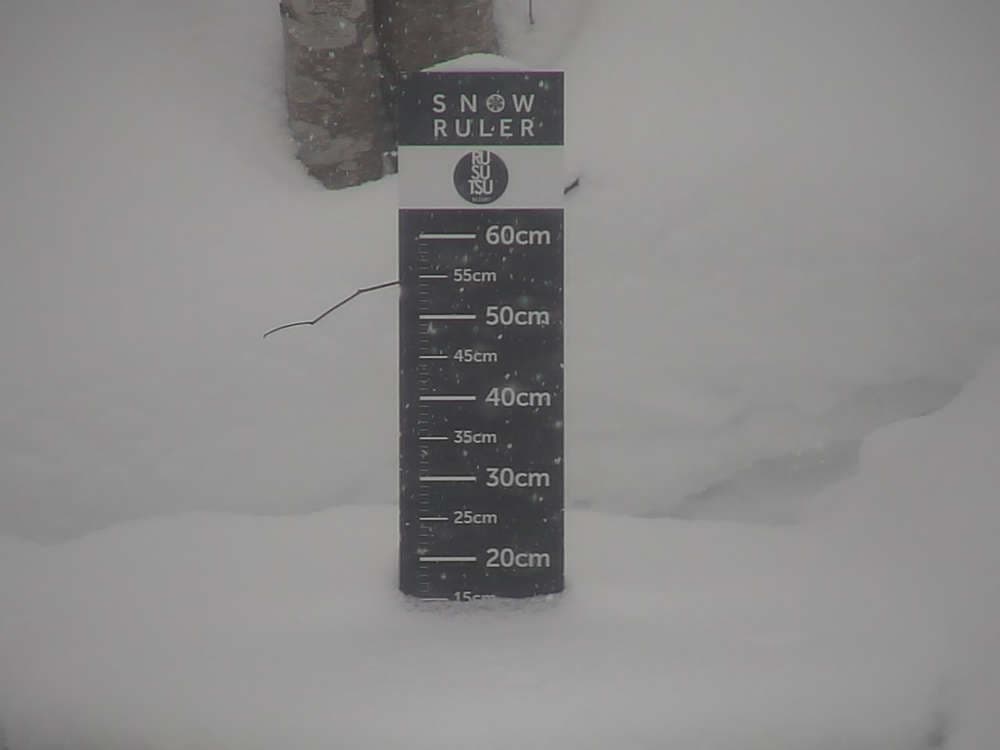Rusutsu Snow Stake Cam