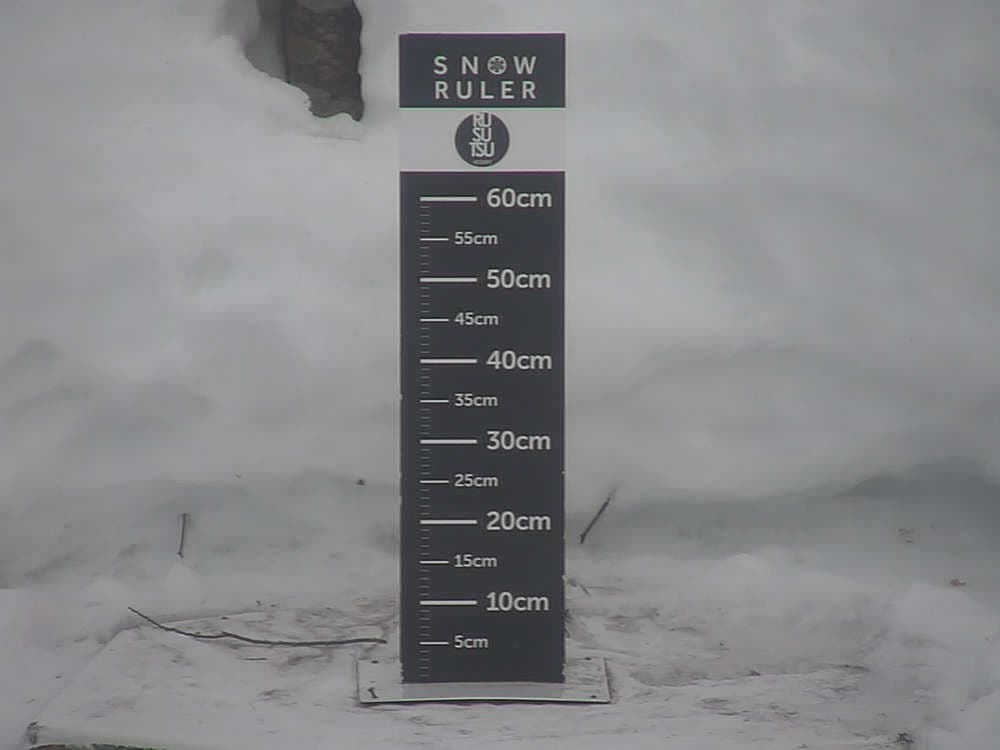 Rusutsu Snow Stake Cam